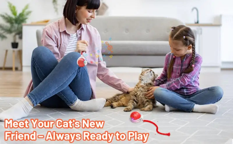 Smart Automatic Self Moving Cat Toy Ball Electric Interactive Rolling Pet Toy with USB Charging for Cats and Small Dogs