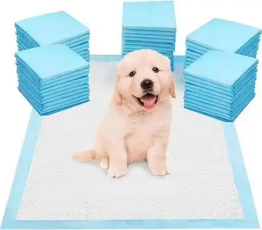 Puppy Training Pee Pads 60x90 cm Quick Dry Potty Training Mats Pack of 10