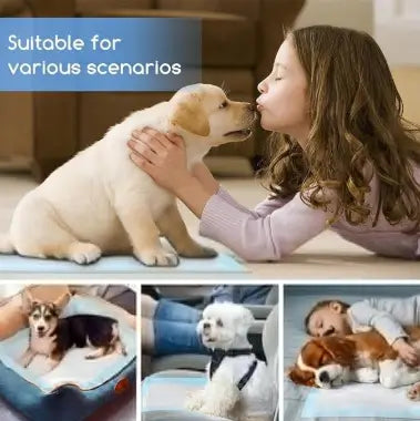 Puppy Training Pee Pads 60x90 cm Quick Dry Potty Training Mats Pack of 10