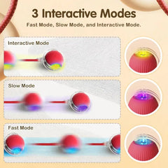 Smart Automatic Self Moving Cat Toy Ball Electric Interactive Rolling Pet Toy with USB Charging for Cats and Small Dogs